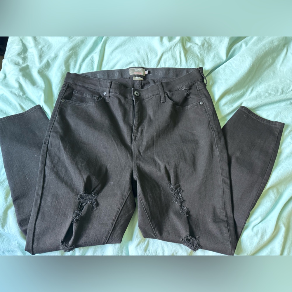 Torrid Jeans, new